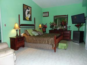圣何塞卡萨利马住宿加早餐酒店的一间卧室配有一张床和一台电视