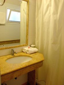 托隆阿尔特弥斯酒店的一间带水槽、镜子和淋浴的浴室