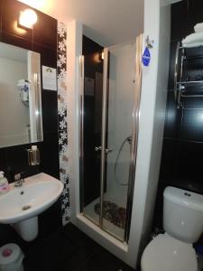 科帕奥尼克Elite Apartment Konaci的带淋浴、卫生间和盥洗盆的浴室
