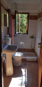 桑加拉达费劳克斯酒店 的浴室配有卫生间、盥洗盆和浴缸。