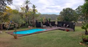 哈坦柏斯Cheetah Lodge Guest House的后院,草地上设有游泳池