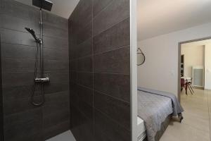 Saint-Jean-de-CucullesLes Lodges du Pic的浴室设有黑色瓷砖淋浴。