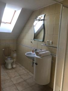 纳梅斯托沃Penzión Kotva Prístav的一间带水槽和卫生间的浴室