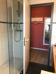 吕讷堡Appartement Ginstertraum的浴室里设有玻璃门淋浴