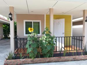 巴真府德瓦花园度假酒店的黄色房子,前廊上设有向日葵