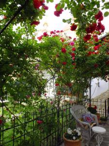 布勒伊拉达住精品酒店的花园内种有红色的鲜花,设有椅子和围栏