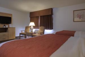 阿拉丁套房酒店客房内的一张或多张床位