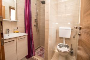 罗维尼Nice place的浴室配有卫生间、盥洗盆和淋浴。