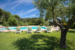 蒙特普齐亚诺Hotel Panoramic Montepulciano的一组草坪椅,位于游泳池旁