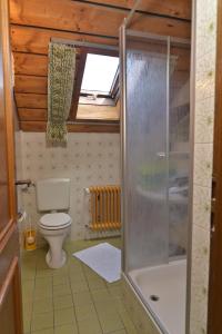 拜尔里舍艾森施泰恩Ferienwohnung Waldheimat的一间带卫生间和玻璃淋浴间的浴室