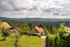 DobrničVineyard Cottage Pod Piramido的享有以山脉为背景的农场的景致。