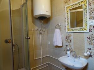 扎布利亚克Apartments Bulatovic的带淋浴、盥洗盆和镜子的浴室