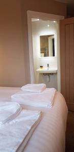 锡尔弗代尔锡尔弗酒店的一间卧室配有两张带镜子和水槽的床