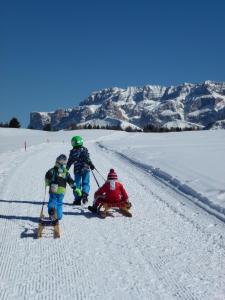 塞尔瓦迪加尔代纳山谷Cedepuent de Sot的一群在雪中玩耍的三个孩子