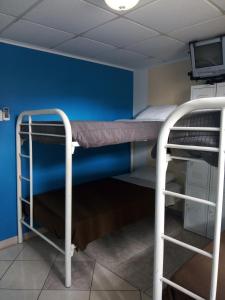 Hostel Room Aruba客房内的一张或多张双层床
