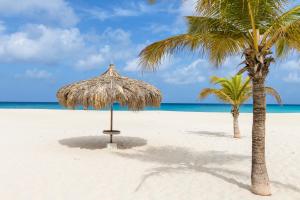 奥拉涅斯塔德Hostel Room Aruba的海滩上的两棵棕榈树和一把草伞
