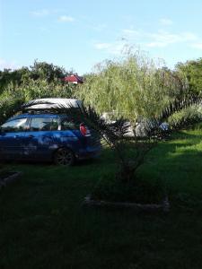 高尼奥Gonio Apsaros House的一辆蓝色的汽车停在一个有树的院子内