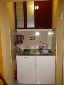 兹拉蒂博尔Apartment 9 Gorska Vila的一间带水槽和炉灶的小厨房