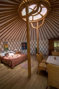 新瓦尔普诺Glamping Podgrodzie的相册照片