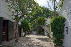 科伦坡Geoffrey Bawa's Home Number 11的一座有树木和建筑的空洞小巷