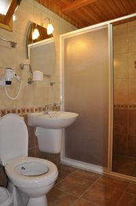 契拉勒沃泽简易别墅酒店的浴室配有卫生间、盥洗盆和淋浴。