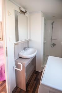 普拉Camping Media Mobile Homes in Brioni Sunny Camping的一间带水槽和镜子的浴室