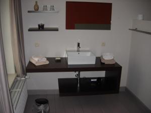 雷尼格尔斯特维达斯图斯旅馆的客房内的盥洗盆浴室