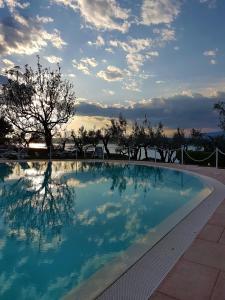 西尔米奥奈理想酒店的一座有树和云天的游泳池