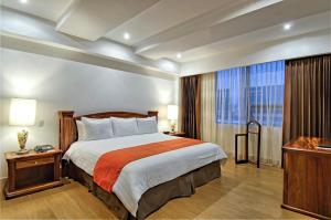圣何塞Balmoral Hotel San José CR, Historic District的酒店客房设有一张床和一个大窗户