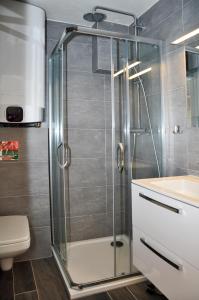 斯托泽克Apartmány Stožec - Gabreta Premium的带淋浴、卫生间和盥洗盆的浴室