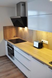 斯托泽克Apartmány Stožec - Gabreta Premium的厨房配有带烤面包机和炉灶的台面