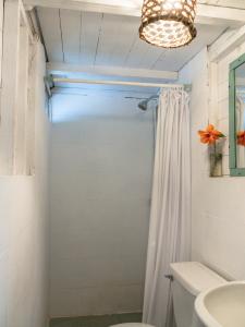 PeñaherreraPacheco Farmhouse - Intag Valley的浴室配有白色的浴帘和卫生间