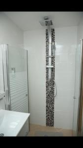 萨法德Mendy's Accommodation的淋浴位于盥洗盆旁的浴室