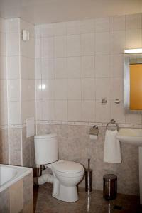 Vratsa佐拉家庭艺术酒店的一间带卫生间和水槽的浴室