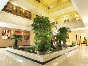 科威特莎米亚贝斯特韦斯特PLUS酒店的大堂里放着一堆盆栽的树木