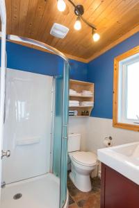卡普沙Chalets Valmont的浴室配有卫生间、淋浴和盥洗盆。