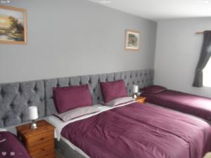 卡文Fitzpatrick's Tavern and Hotel的一间卧室配有一张带紫色床单的大床