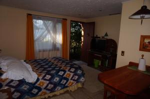普孔洛杉谷乐思拉坎德拉里亚公寓式酒店的一间卧室配有一张床、一台电视和一个窗口