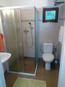 奥洛穆茨迷你佩梓恩纳瓦丽徳旅舍的带淋浴、卫生间和盥洗盆的浴室