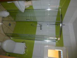 米耶伦科Domkiuweroniki的浴室设有镜子、盥洗盆和卫生间