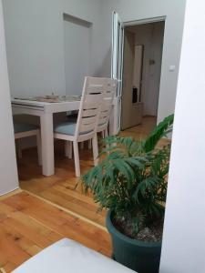 弗拉涅Stankovic Apartman的客厅配有桌椅和植物