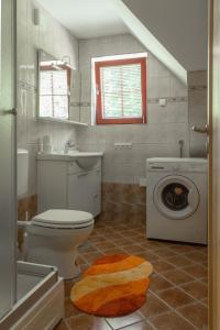 Gornji GradApartments Petek的一间带卫生间和洗衣机的浴室