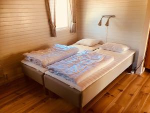 DoroteaDoro Camp Lapland的带窗户的客房内设有两张单人床。