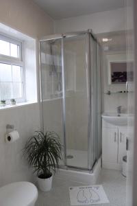 纽尼顿Abbey Grange Hotel的带淋浴、卫生间和盥洗盆的浴室