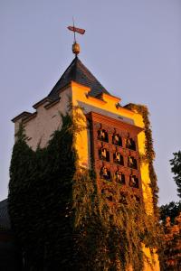 吕德斯海姆吕德斯海姆布鲁尔城堡酒店的钟楼顶部有一个十字架