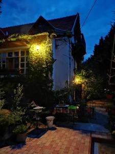 雷夫菲勒普Villa-Magdi Vendégház的夜晚点亮的房屋
