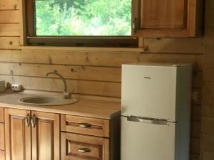 乌日霍罗德Rancho 555的厨房配有冰箱和水槽