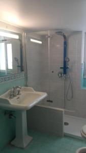 巴勒莫Casa de Spuches的一间带水槽和淋浴的浴室