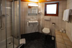 弗鲁蒂根辛普朗餐厅酒店的带淋浴、卫生间和盥洗盆的浴室
