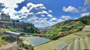 金马仑高原齐亚花园迷你小木屋胶囊旅馆的享有山坡上建筑和植物的景色